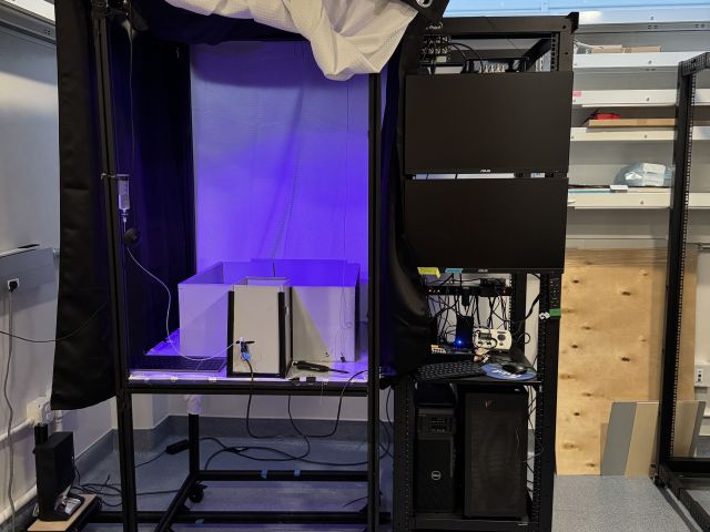 First projection rig for target chasing